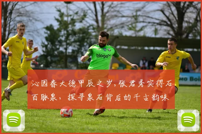 沁园春大德甲辰之岁,张君秀实得石百脉泉，探寻泉石背后的千古韵味