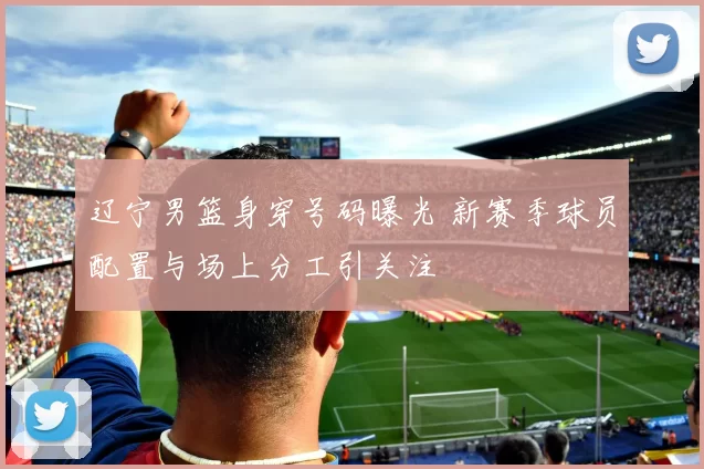 辽宁男篮身穿号码曝光 新赛季球员配置与场上分工引关注