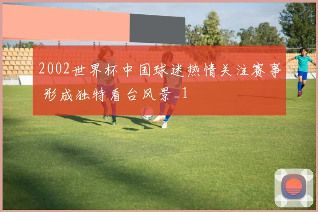 2002世界杯中国球迷热情关注赛事 形成独特看台风景_1