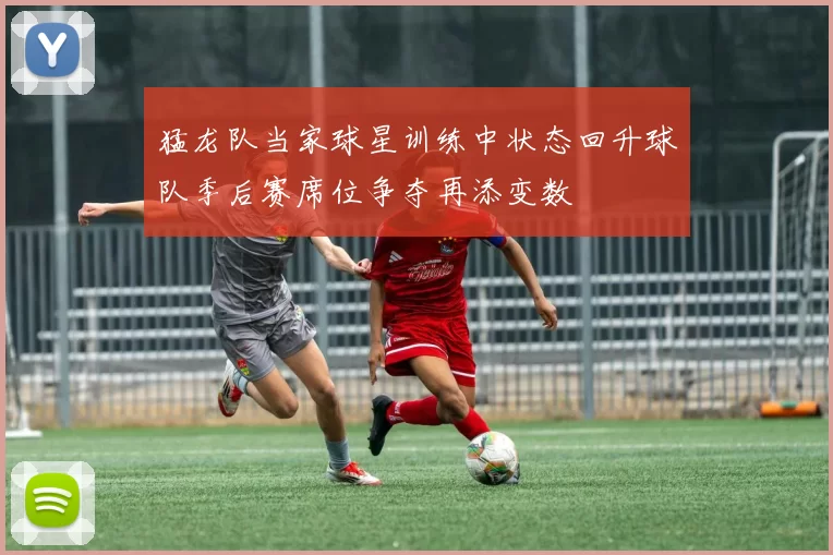 猛龙队当家球星训练中状态回升球队季后赛席位争夺再添变数