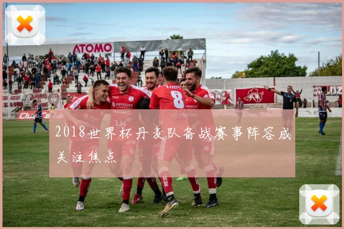 2018世界杯丹麦队备战赛事阵容成关注焦点