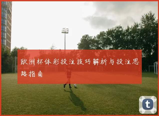 欧洲杯体彩投注技巧解析与投注思路指南