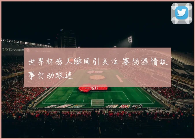 世界杯感人瞬间引关注 赛场温情故事打动球迷