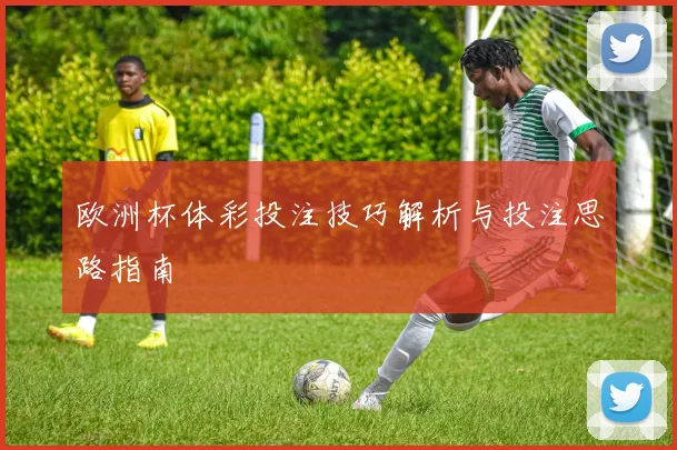 欧洲杯体彩投注技巧解析与投注思路指南